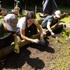 Students participate in Student Garden Day at the Jamil Niner Student Pantry Gardens