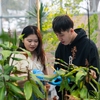 York University Students in a Greenhouse