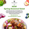 Spring Seasonal Salad Offering