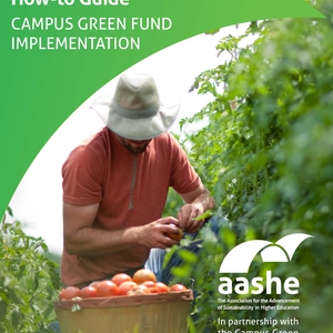 University of Illinois sustainable student farm manager, Zack Grant, picks produce to be sent to the university dining halls.