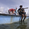 Doctoral student Donaven Baughman prepares to dive and collect samples of oyster drills and crown conchs, which are oyster predators. (Courtesy of FSU Coastal and Marine Laboratory)