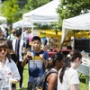 Students and visitors to the Emory Farmers Market, 1