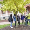 Five students with campus arborist at the base of a yellow ginkgo tree learning how to conduct a tree inventory; large brick, historical building in the background