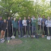 UNC Charlotte Women's Volleyball Team plants trees