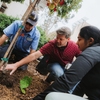 UC San Diego Facilities Management teamed up with students to celebrate Arbor Day 2025 by planting over 40 new trees on campus, growing knowledge and shade for generations to come.