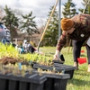 Staff member Ashley Packer prepares to plant native grasses and flowers in a new bioswale at Mohawk College, funded by a WWF-Canada Go Wild Grant. The garden will support wildlife and help manage rainwater runoff in a campus parking lot.