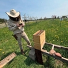 A beekeeper working at the University of Minnesota Duluth’s Land Lab.
