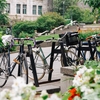 A bike rack on McGill's Downtown campus